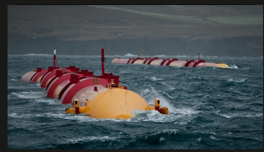 Don’t buy American goods