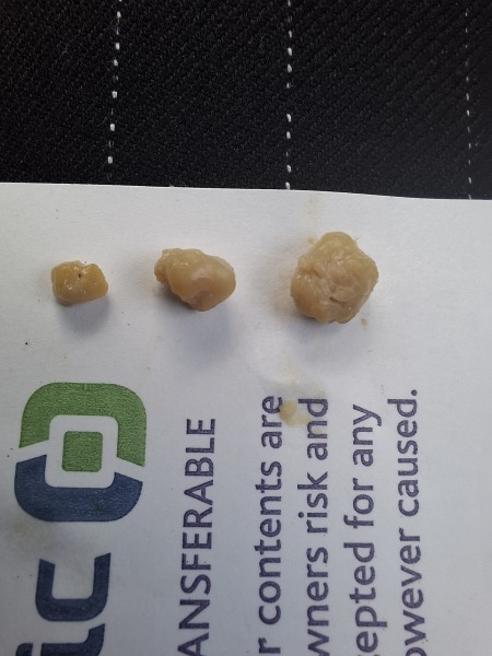 Quick! Send tea and toast...