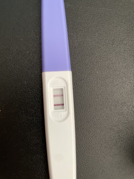 IVF March 2025