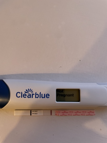 Indent or is this it… last cycle before embryo transfer?!