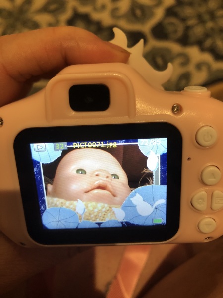 Lost dolly- can you help?