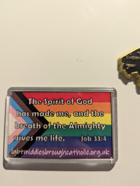 I think my son is gay
