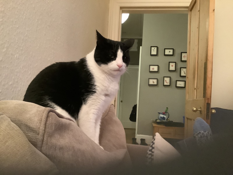 Great British Menu 2025 Thread 2 - From beige sludge to poncey nonsense, but is any of it banquetworthy?