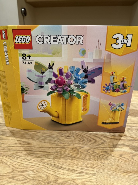 To show me your Lego collection?