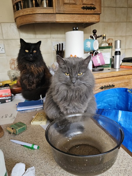 Hymns in Minor Keys & the Russian Easter Overture - the Excellent Cats ignore Culture.....