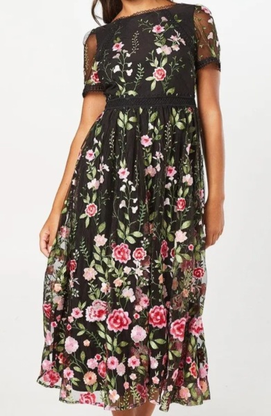 Does anyone have this Coast embroidered midi dress in size 16