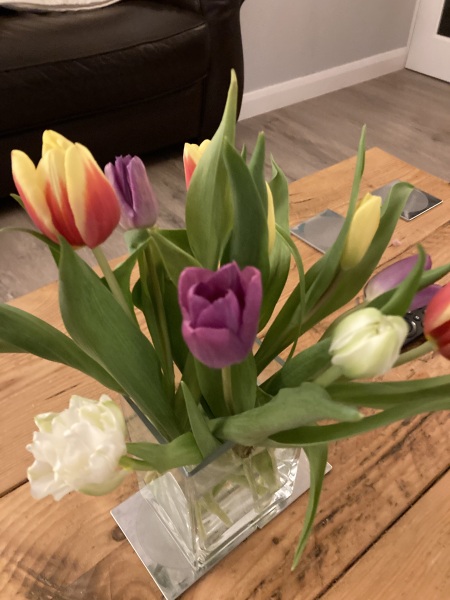 Thread 20 Starmer - Spring Statement