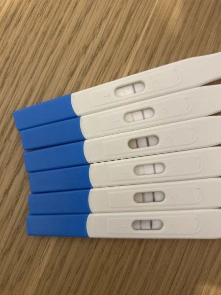 Pregnancy test line progression all over the places