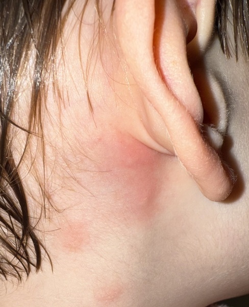 Any ideas what this might be