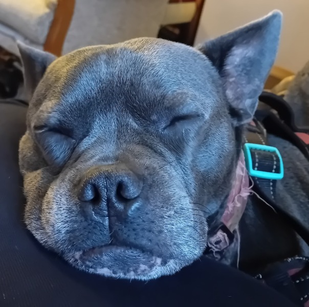 The Continuing Support Thread for Anyone Trying to Lead an Alcohol-Free Life Spring 2025