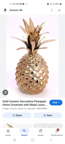 To buy a stunt pineapple..