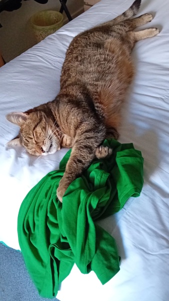 Hymns in Minor Keys & the Russian Easter Overture - the Excellent Cats ignore Culture.....