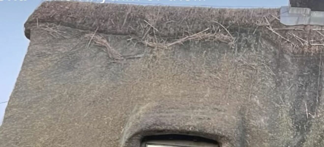 Botwatch 87!!! Yes we are still battling MLMs! When 99.6% of people joining MLM are destined to lose money is that an opportunity or a scam?