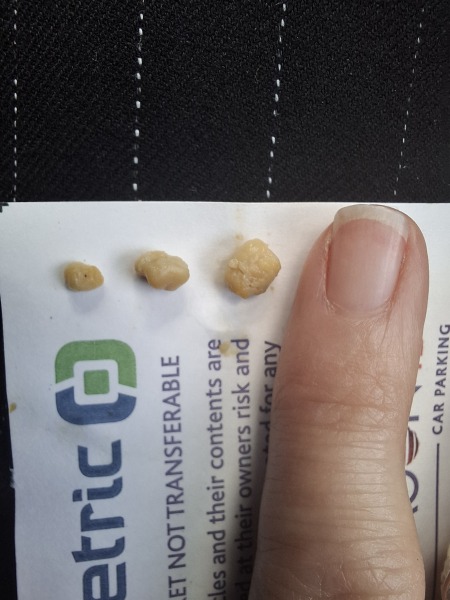 Quick! Send tea and toast...