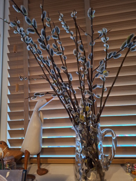 The Year Round Nigel Slater Discussion thread