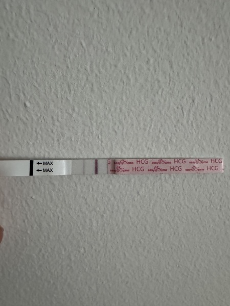 11dpo