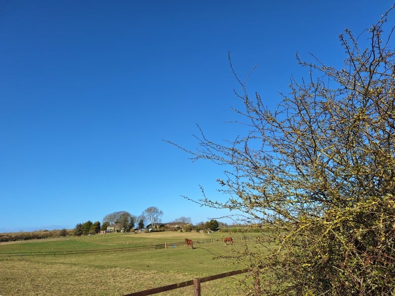 The Year Round Nigel Slater Discussion thread