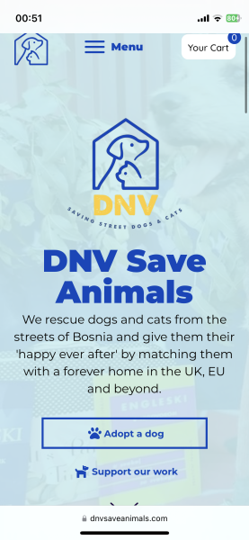 Bosnian dog rescue  charity