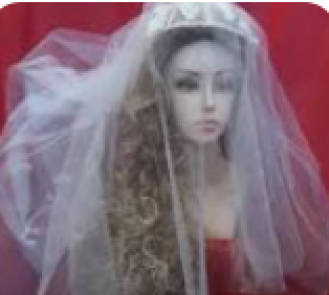 Could this work for a wedding?