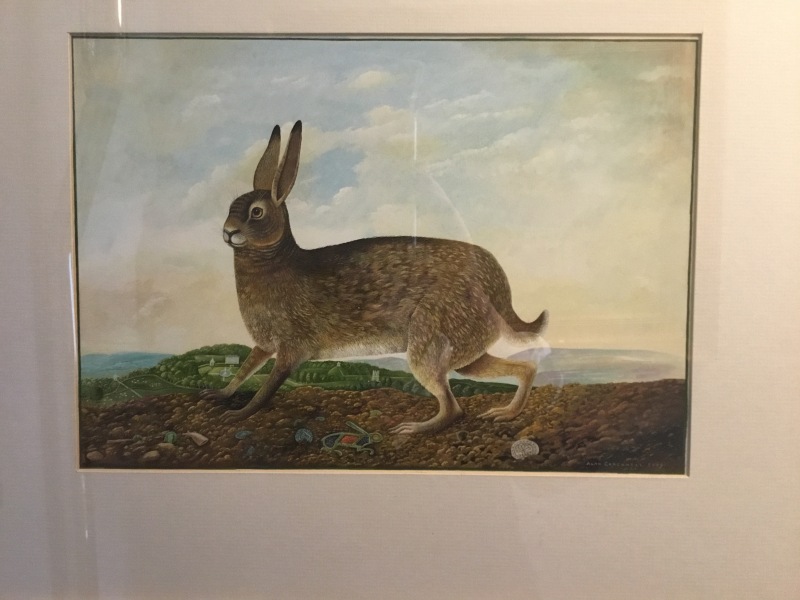 Anyone read 'Raising Hare?'