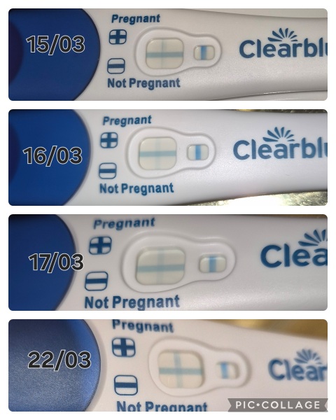 Line Progression but still testing 1-2 on Clear Blue
