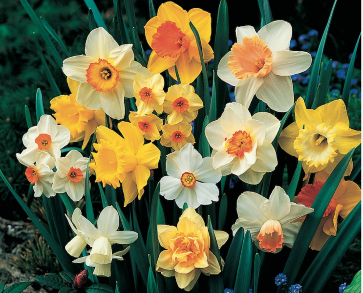 Thread 18 Starmer: All sides of the House agree apart from the Trump bootlickers