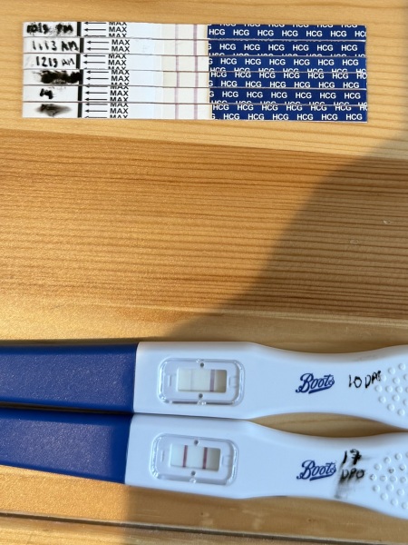 Pregnancy test opinions