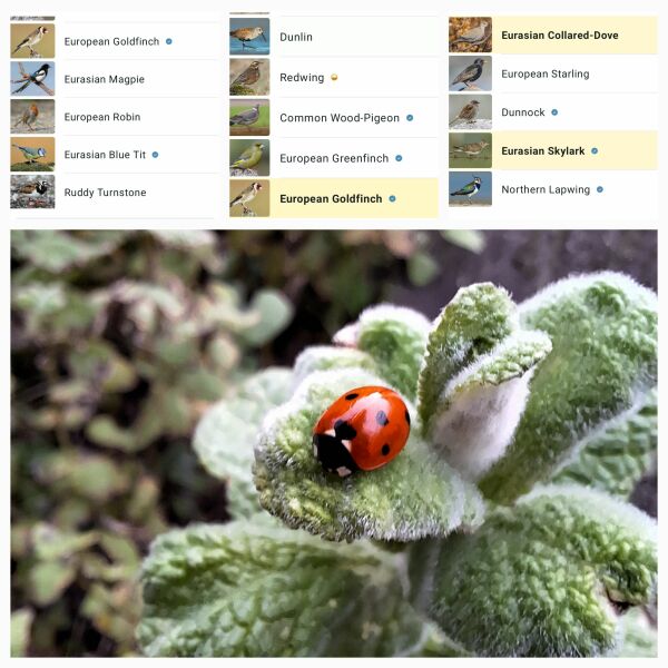 The Year Round Nigel Slater Discussion thread