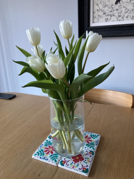 Thread 19 Starmer - A Coalition of the Willing