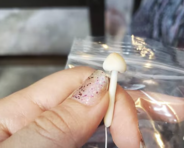 Trump+Musk; the DOGE and Pony show continues -Trump thread #140