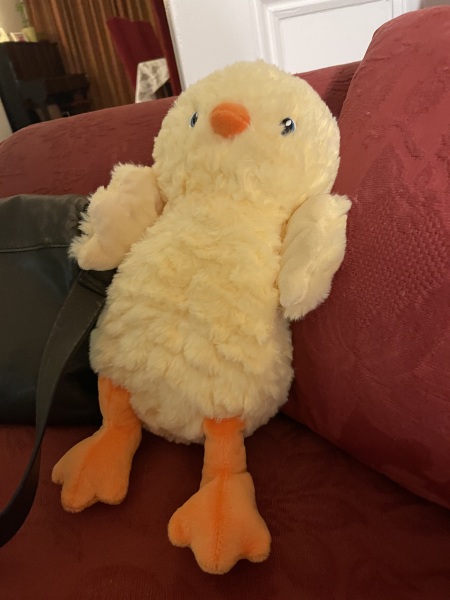 Thread 21 Starmer - Casting Nasturtiums