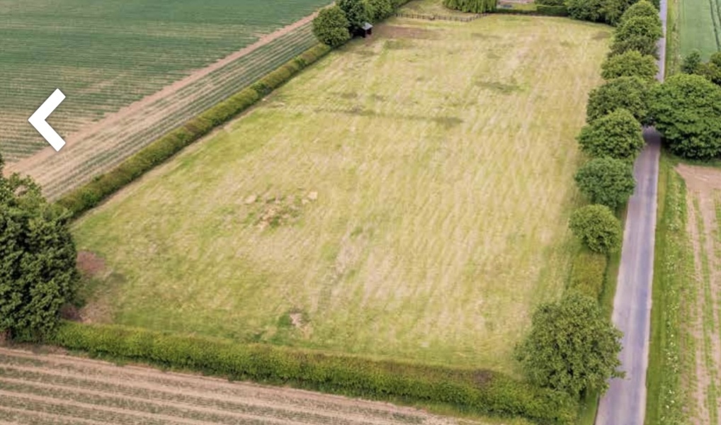 What to do with 5 acres