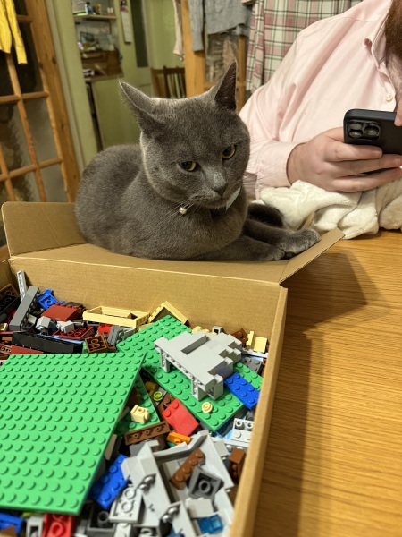 To show me your Lego collection?