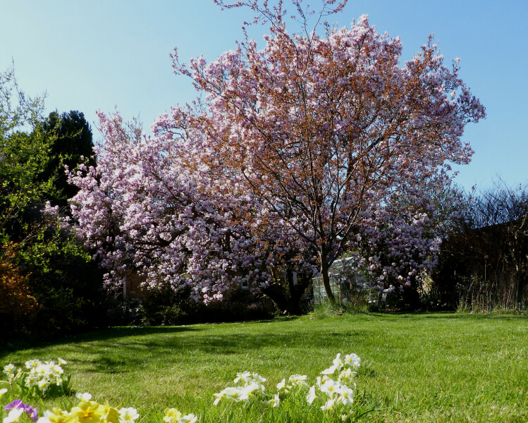 Thread 17 - TalkLair: "Okay, first of all, what's with the outfit? Live in the now, okay? You look like DeBarge."