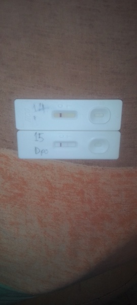 Positive pregnancy test