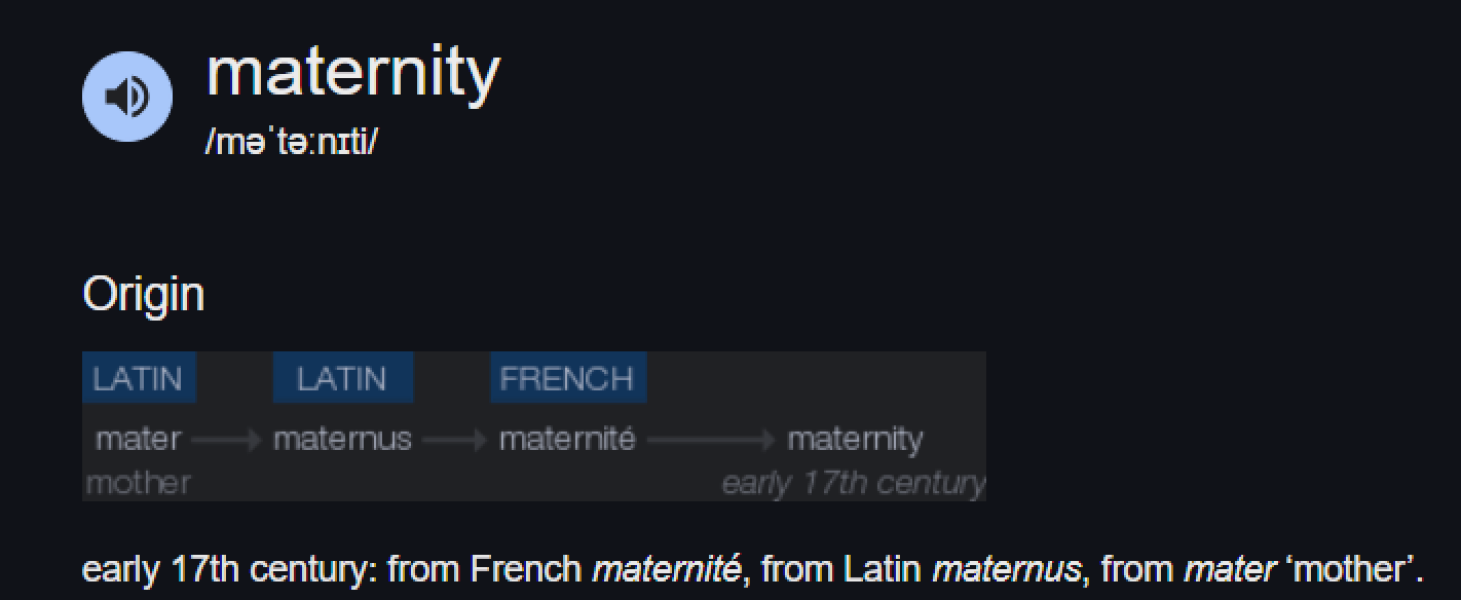 Work maternity policy that does not mention mother or woman