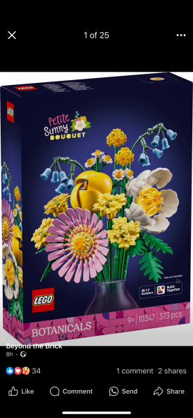 To show me your Lego collection?