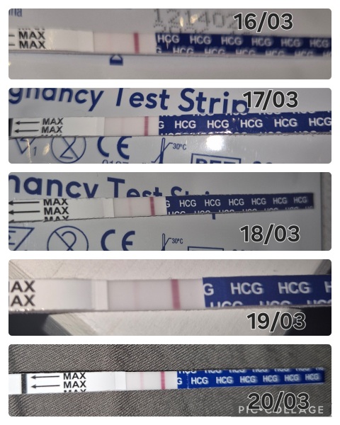 Line Progression but still testing 1-2 on Clear Blue