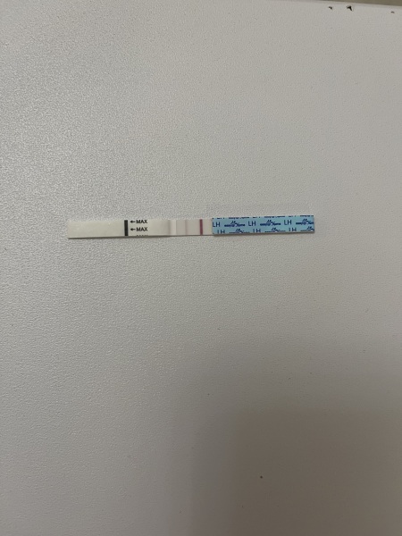 11dpo