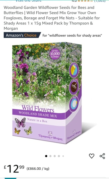 Has anyone had success with a wildflower border?