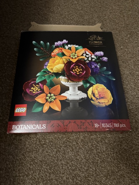 To show me your Lego collection?