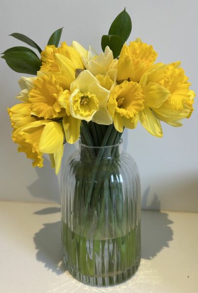 Thread 20 Starmer - Spring Statement