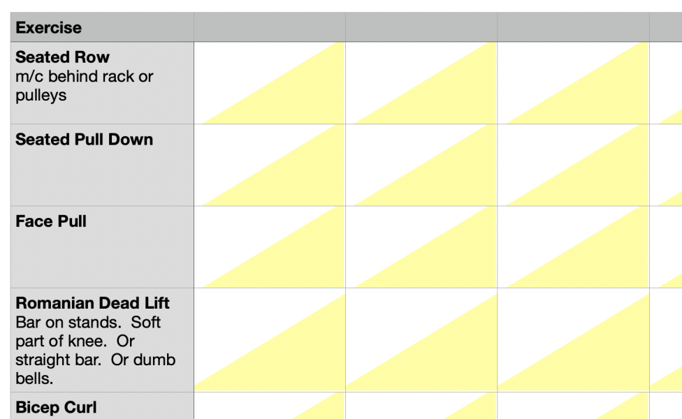 How do you record your workouts?