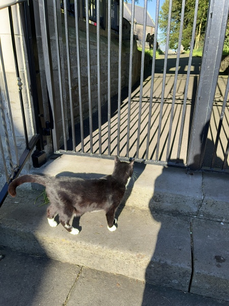 Thread 19 Starmer - A Coalition of the Willing