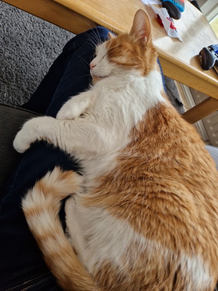 Hymns in Minor Keys & the Russian Easter Overture - the Excellent Cats ignore Culture.....