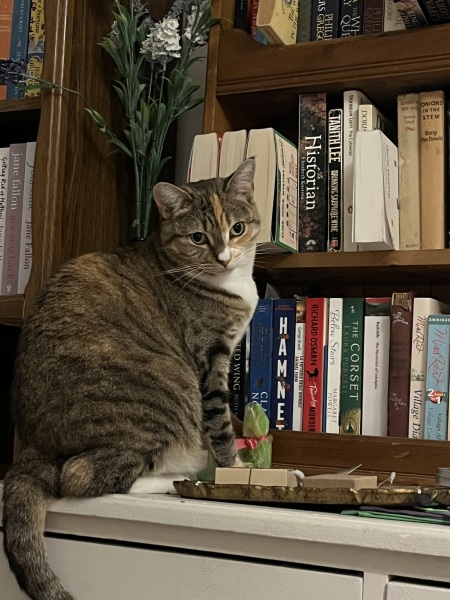 Hymns in Minor Keys & the Russian Easter Overture - the Excellent Cats ignore Culture.....