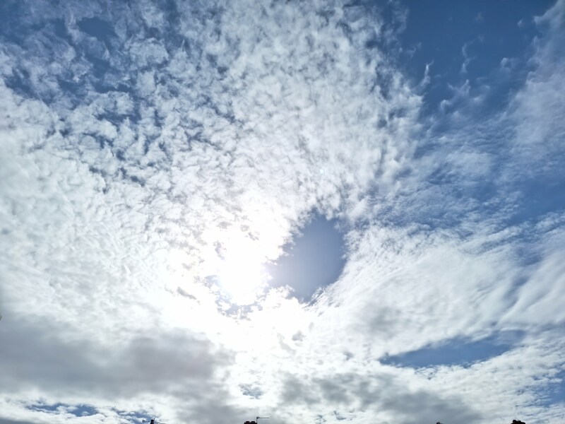 The Year Round Nigel Slater Discussion thread