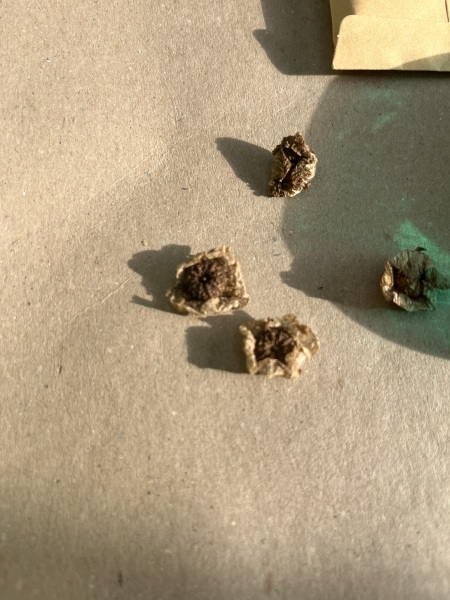 What are these?