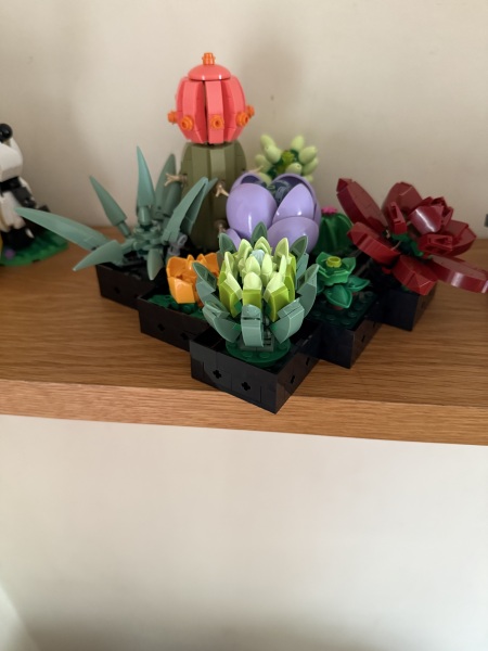 To show me your Lego collection?