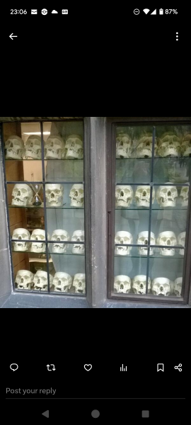 Thread 19 Starmer - A Coalition of the Willing